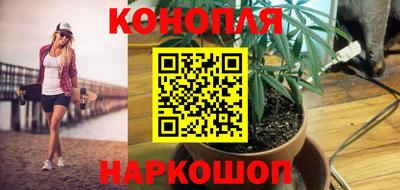 индика Ливны