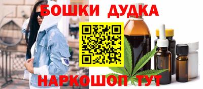 индика Ливны